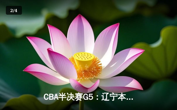 CBA半决赛G5：辽宁本钢加时险胜广东宏远 赵继伟33分率队挺进总决赛 - 2